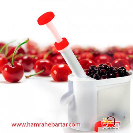 cherry and olive corer